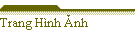 Trang H�nh Ảnh